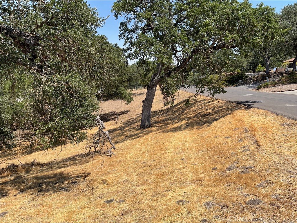 9025 Junipero Ave, Atascadero, CA 93422