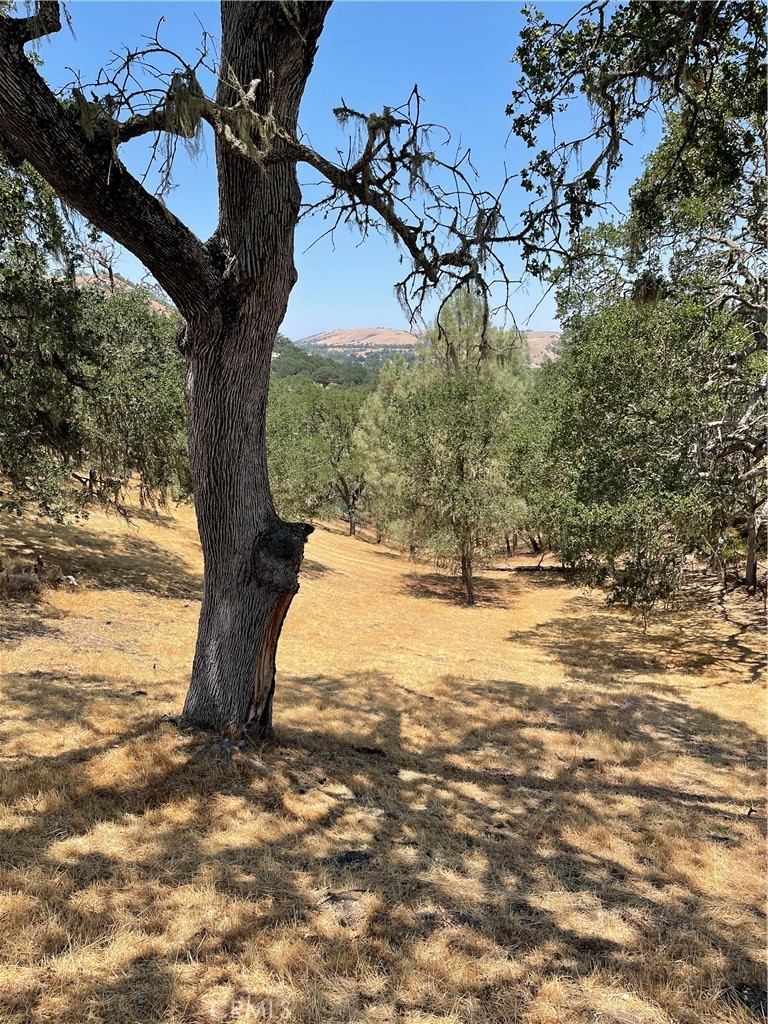 9025 Junipero Ave, Atascadero, CA 93422