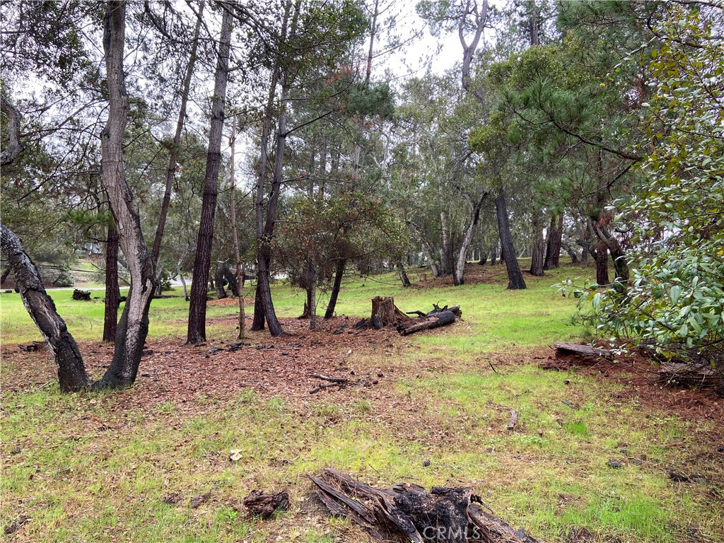 0 Kenneth, Cambria, CA 93428