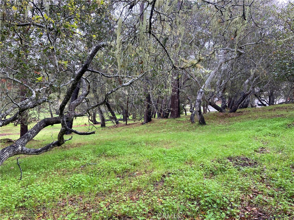 0 Kenneth, Cambria, CA 93428