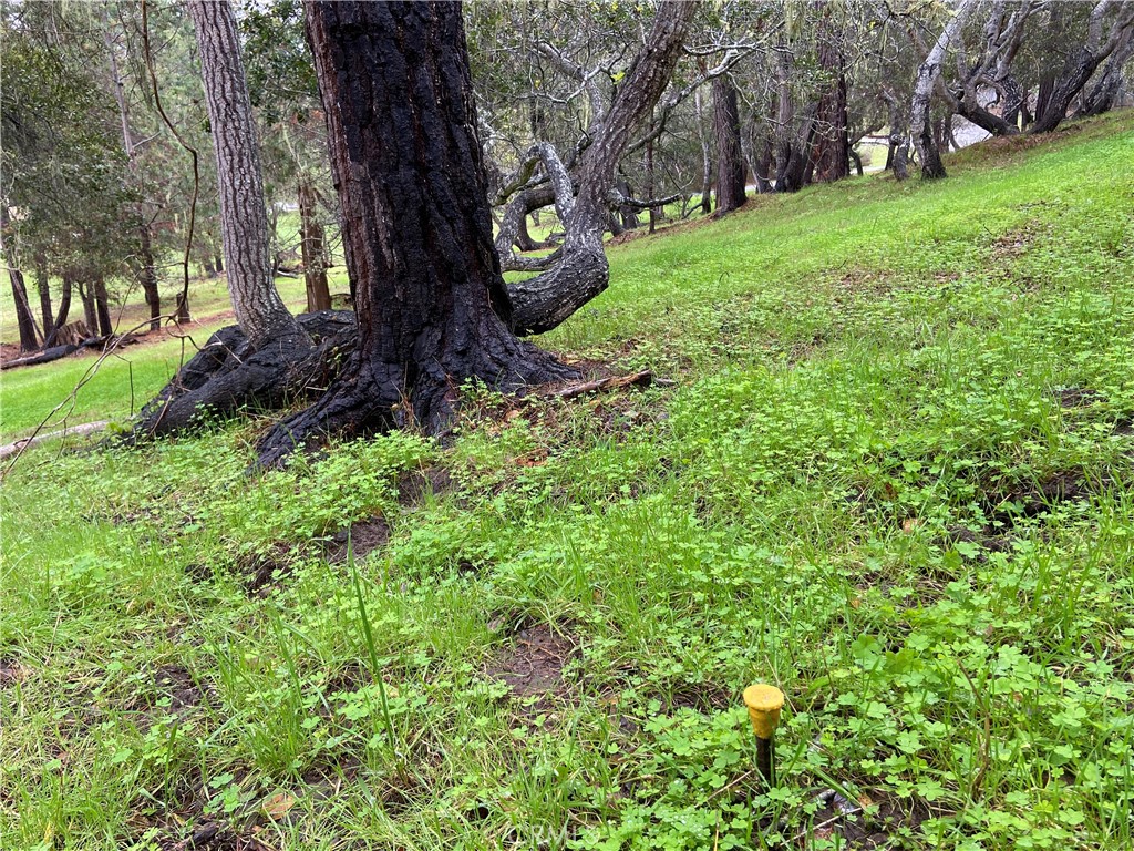 0 Kenneth, Cambria, CA 93428