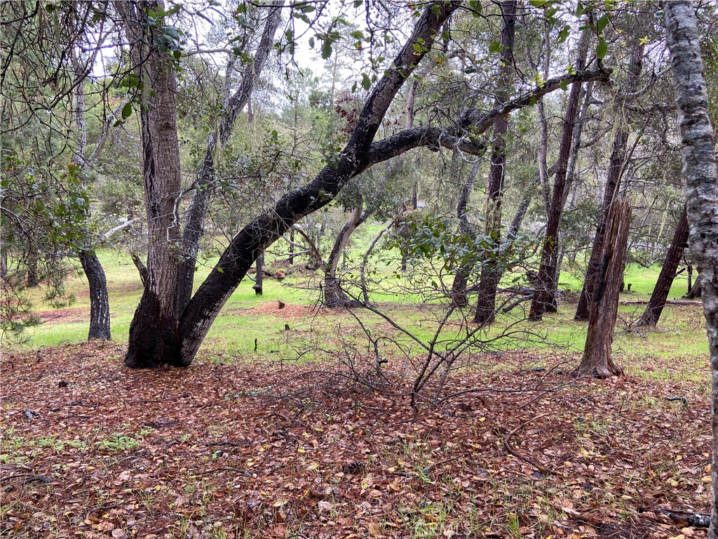 0 Kenneth, Cambria, CA 93428