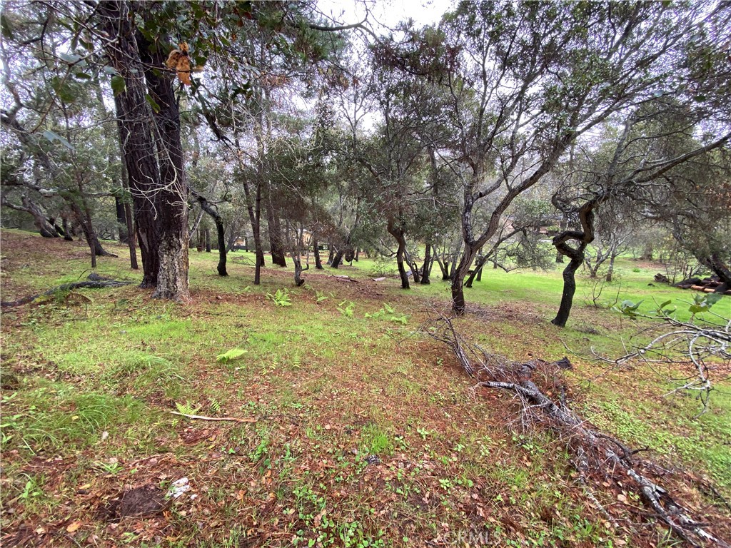 0 Kenneth, Cambria, CA 93428