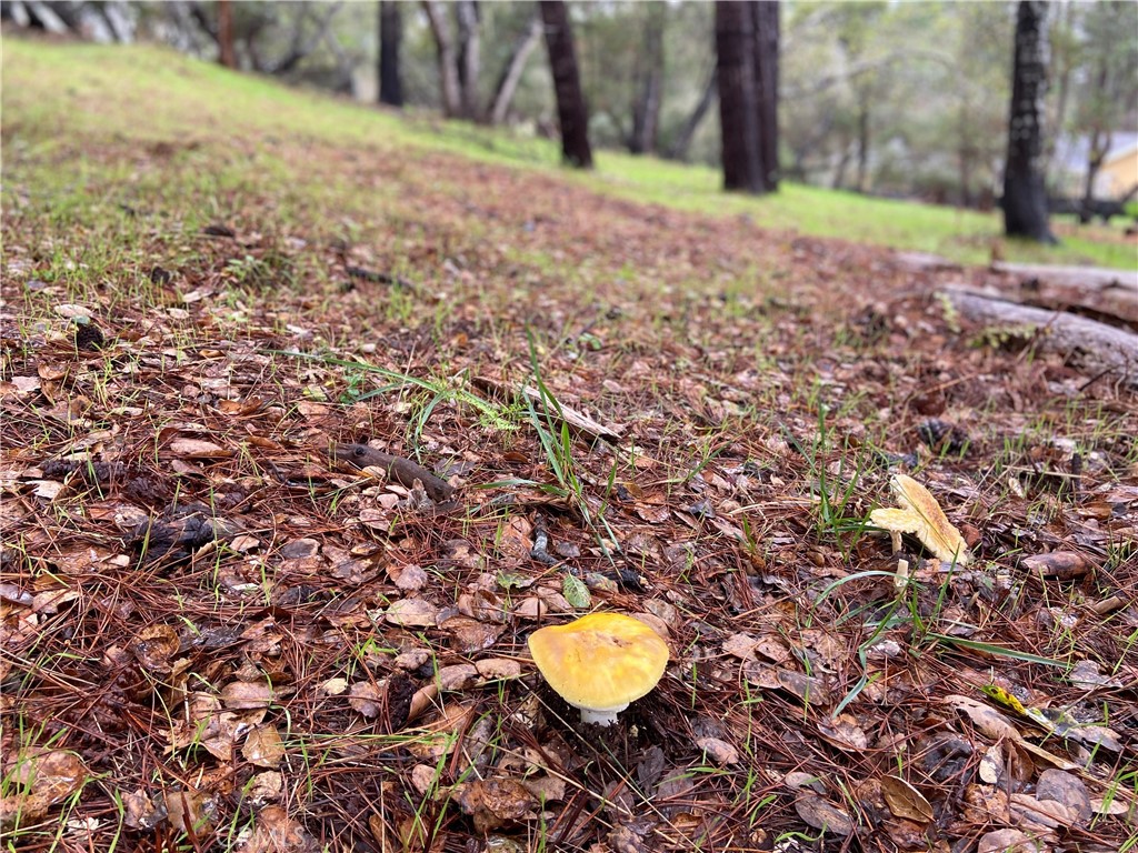 0 Kenneth, Cambria, CA 93428