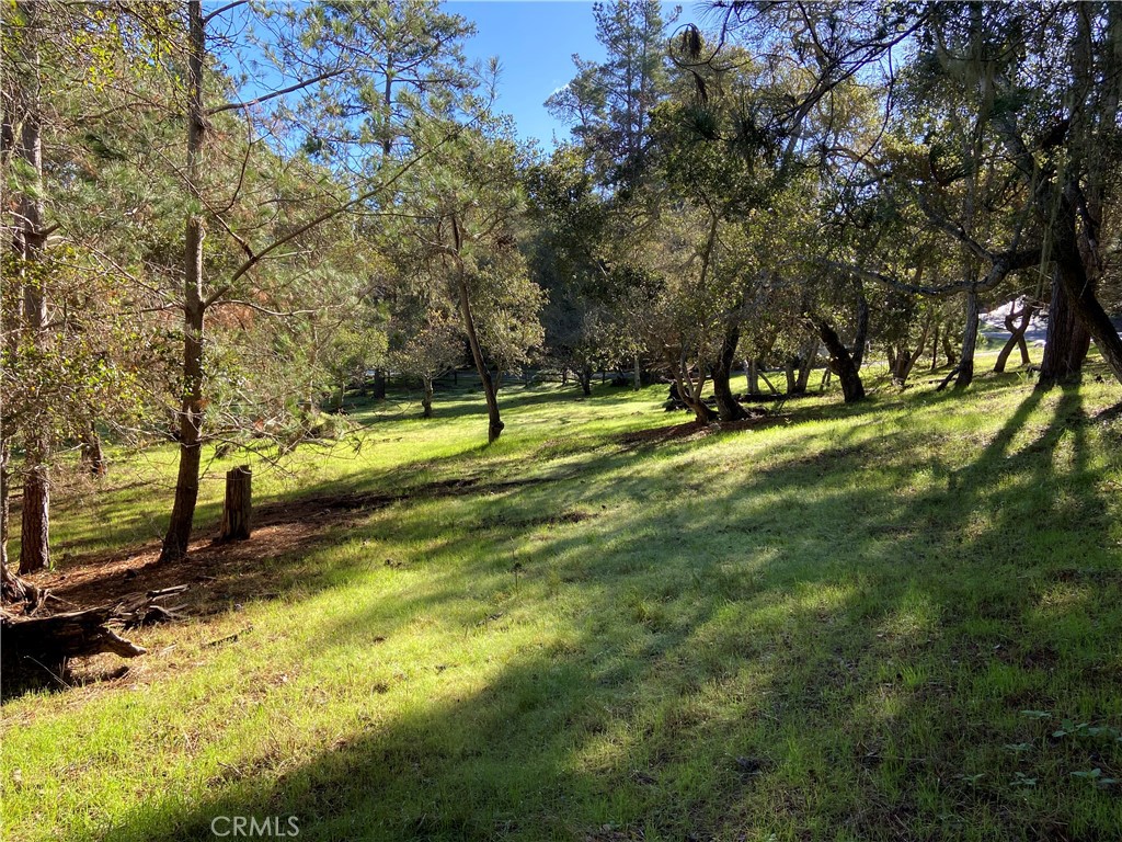 0 Kenneth, Cambria, CA 93428