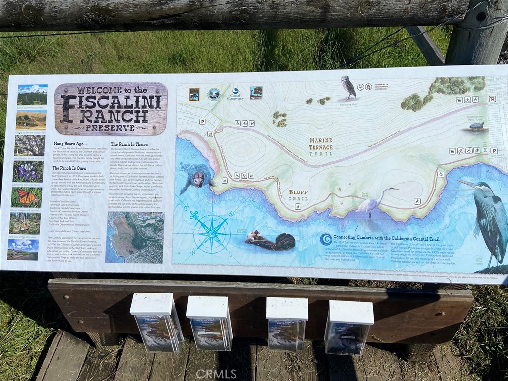 395 Ivar St, Cambria, CA 93428