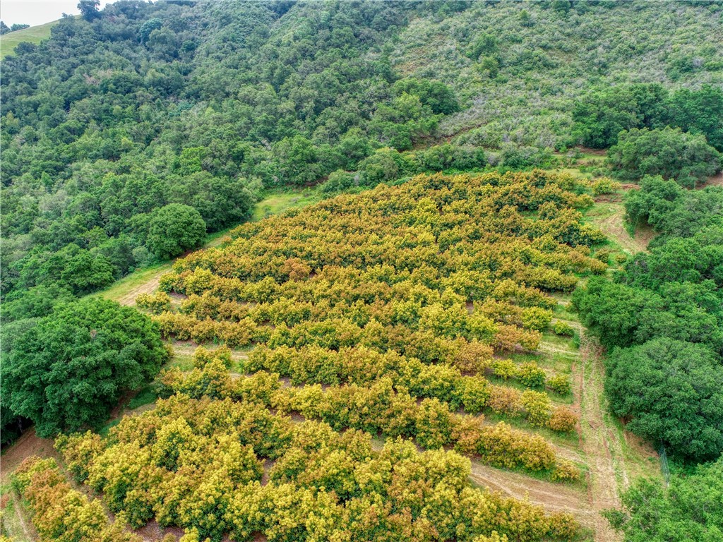 7515 Santa Rosa Creek Rd, Cambria, CA 93428