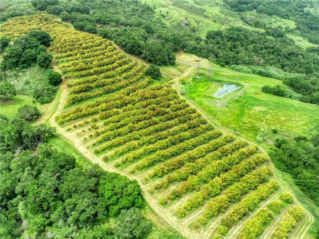 7515 Santa Rosa Creek Rd, Cambria, CA 93428