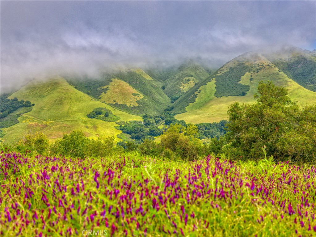 7515 Santa Rosa Creek Rd, Cambria, CA 93428