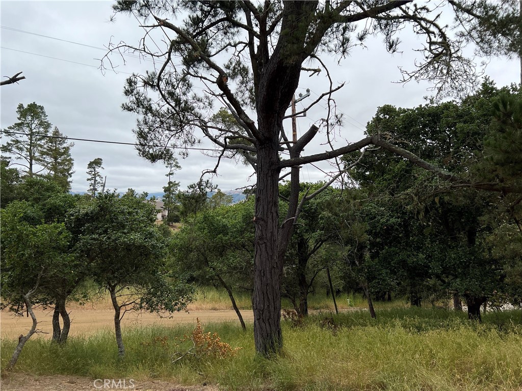 0 Norton Ln, Cambria, CA 93428