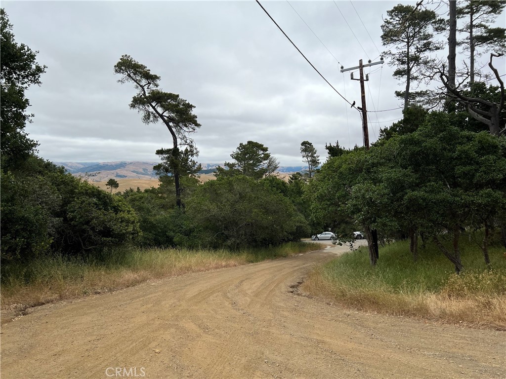 0 Norton Ln, Cambria, CA 93428