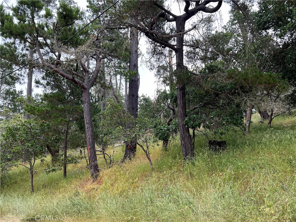 0 Norton Ln, Cambria, CA 93428