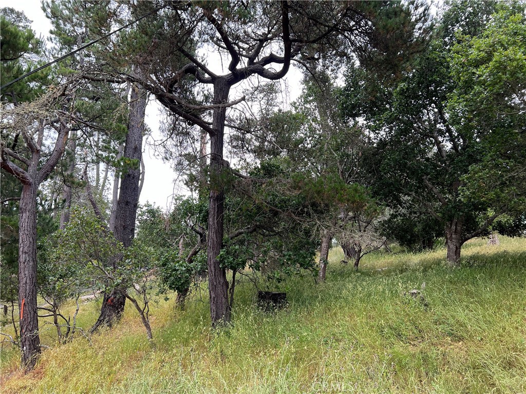 0 Norton Ln, Cambria, CA 93428