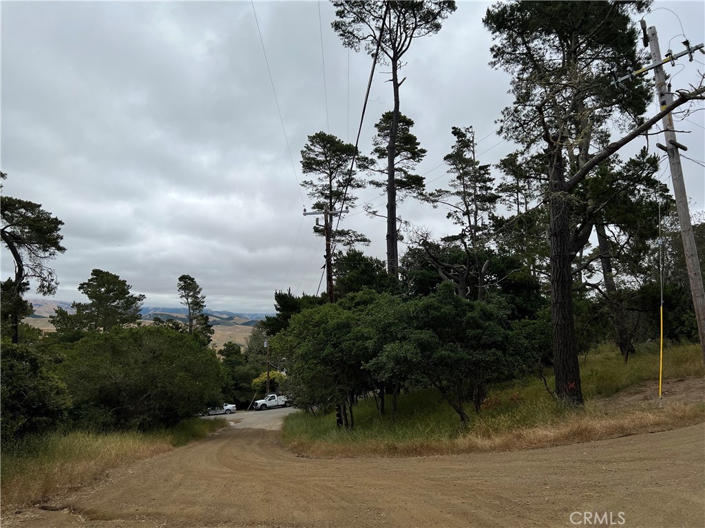0 Norton Ln, Cambria, CA 93428