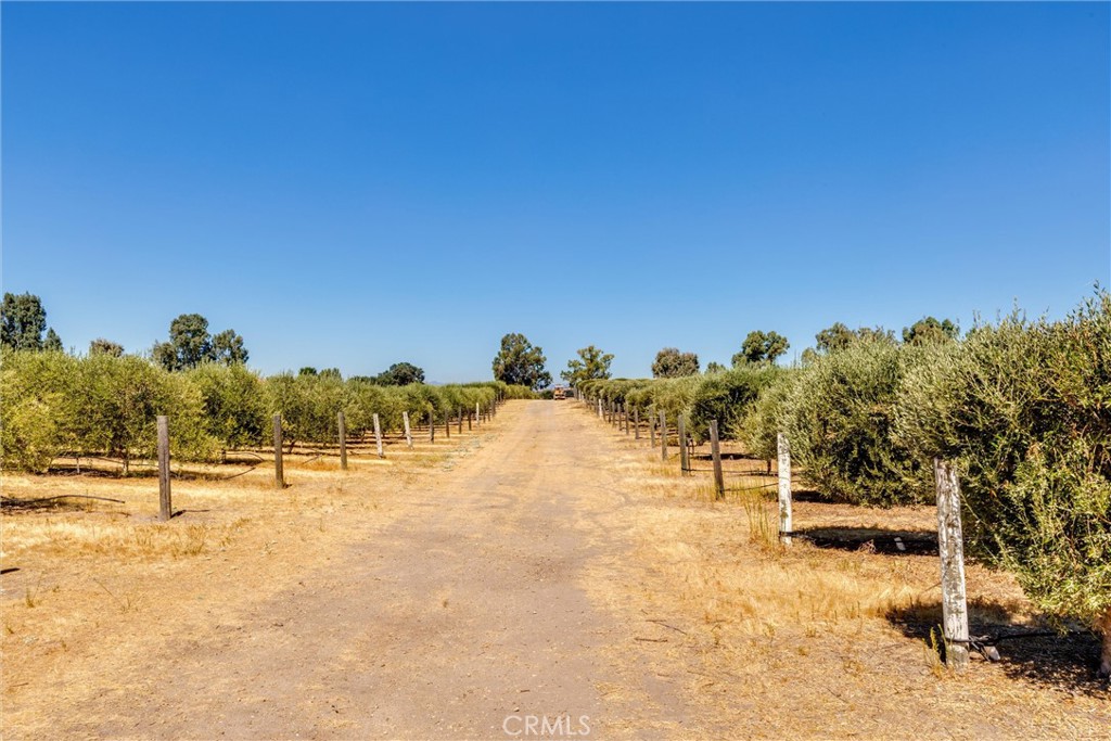5055 Rancho La Loma Linda Dr, Paso Robles, CA 93446
