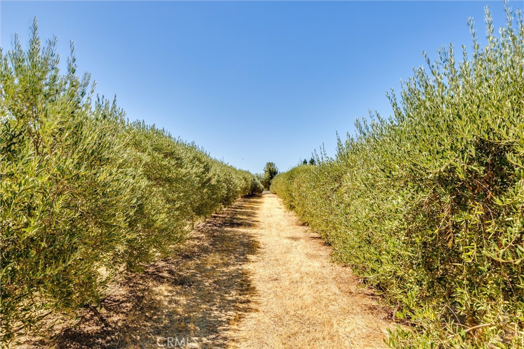 5055 Rancho La Loma Linda Dr, Paso Robles, CA 93446