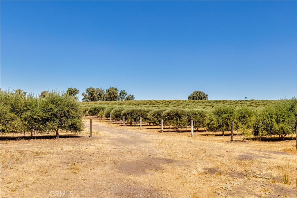 5055 Rancho La Loma Linda Dr, Paso Robles, CA 93446