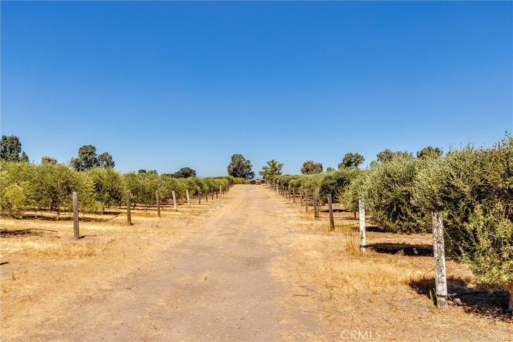 5055 Rancho La Loma Linda Dr, Paso Robles, CA 93446