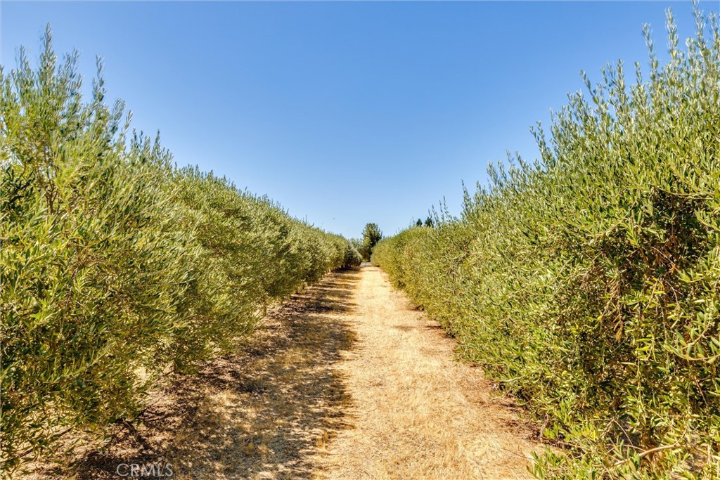 5055 Rancho La Loma Linda Dr, Paso Robles, CA 93446