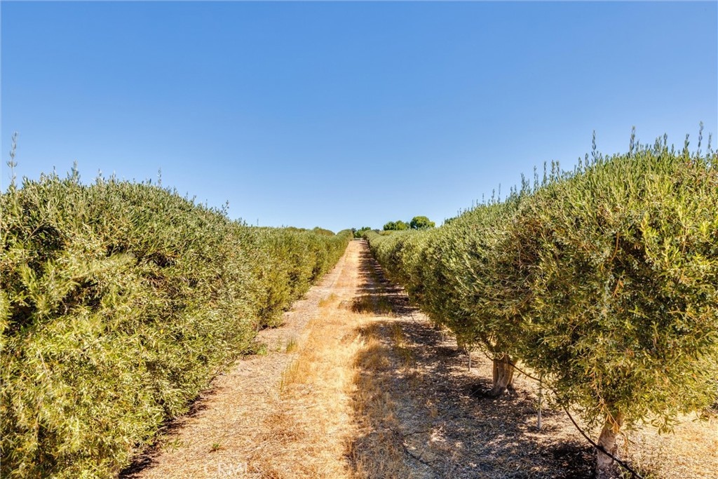 5055 Rancho La Loma Linda Dr, Paso Robles, CA 93446