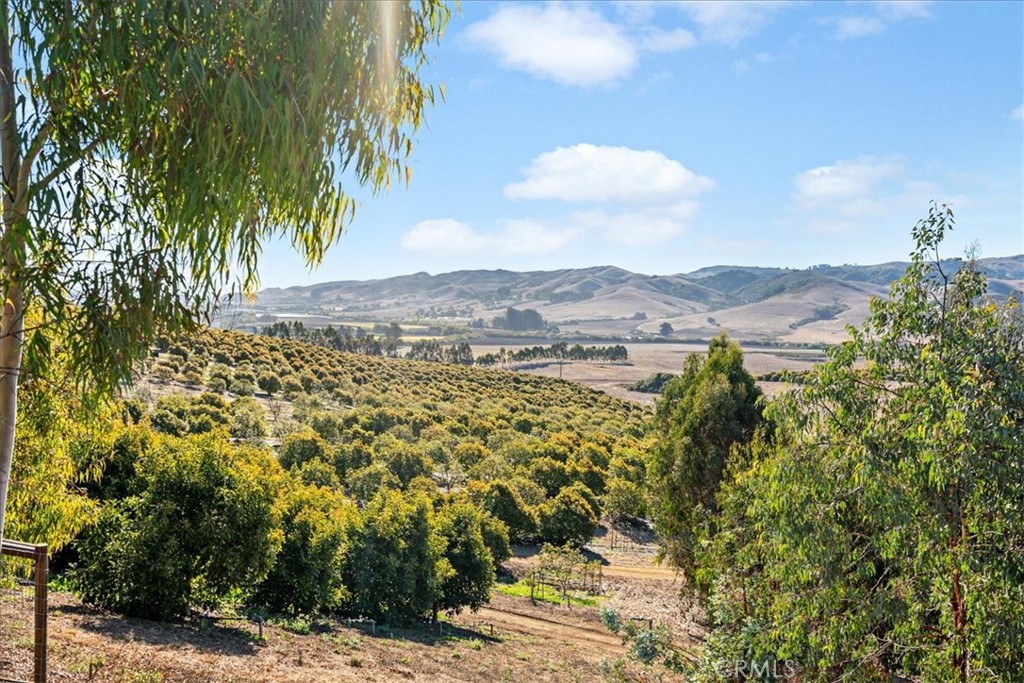 3515 Turri Rd, San Luis Obispo, CA 93405