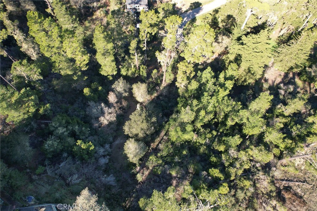 0 Gleason St, Cambria, CA 93428