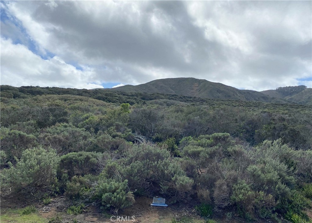 1039 Bayview Heights Dr, Los Osos, CA 93402