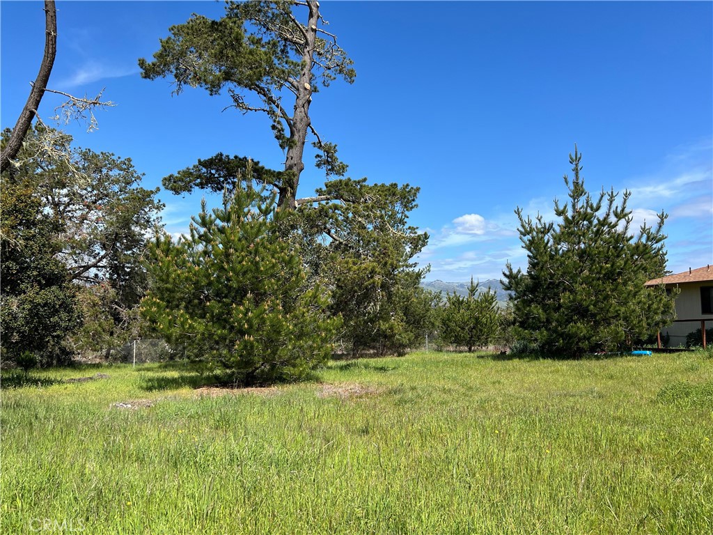 2540 Malvern St, Cambria, CA 93428