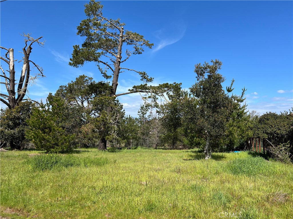 2540 Malvern St, Cambria, CA 93428