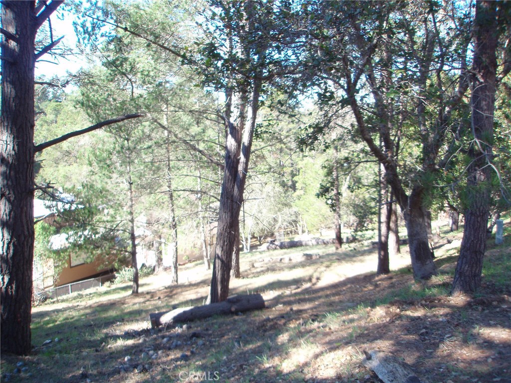 0 Pierce Ave, Cambria, CA 93428