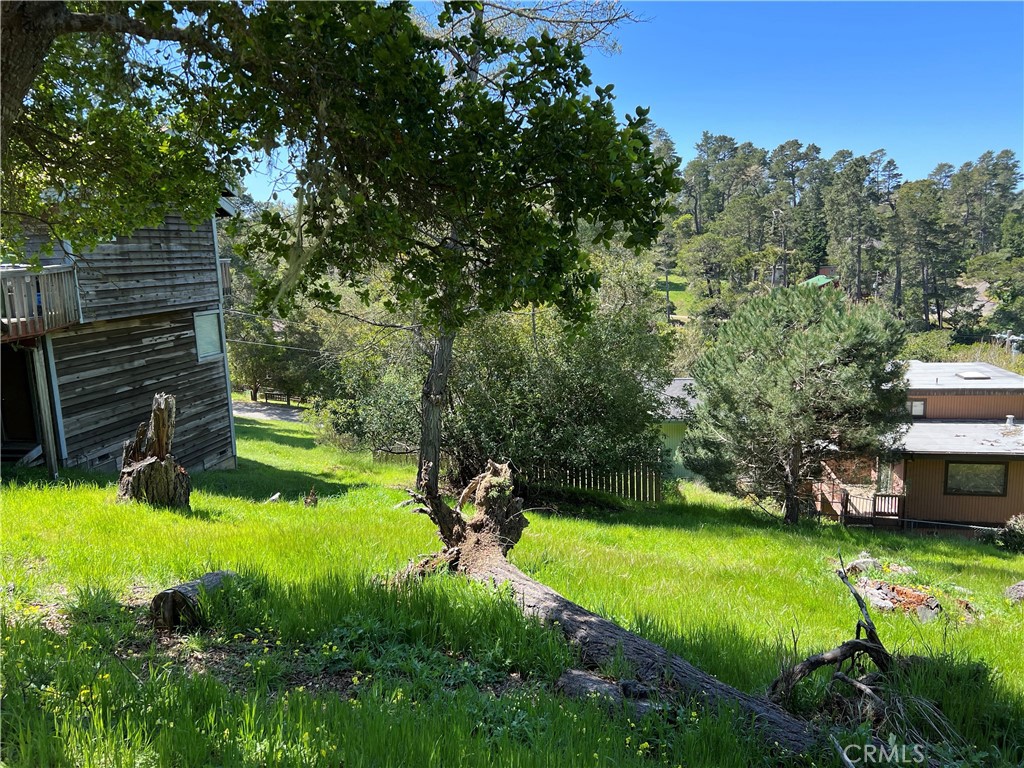 0 Pierce Ave, Cambria, CA 93428