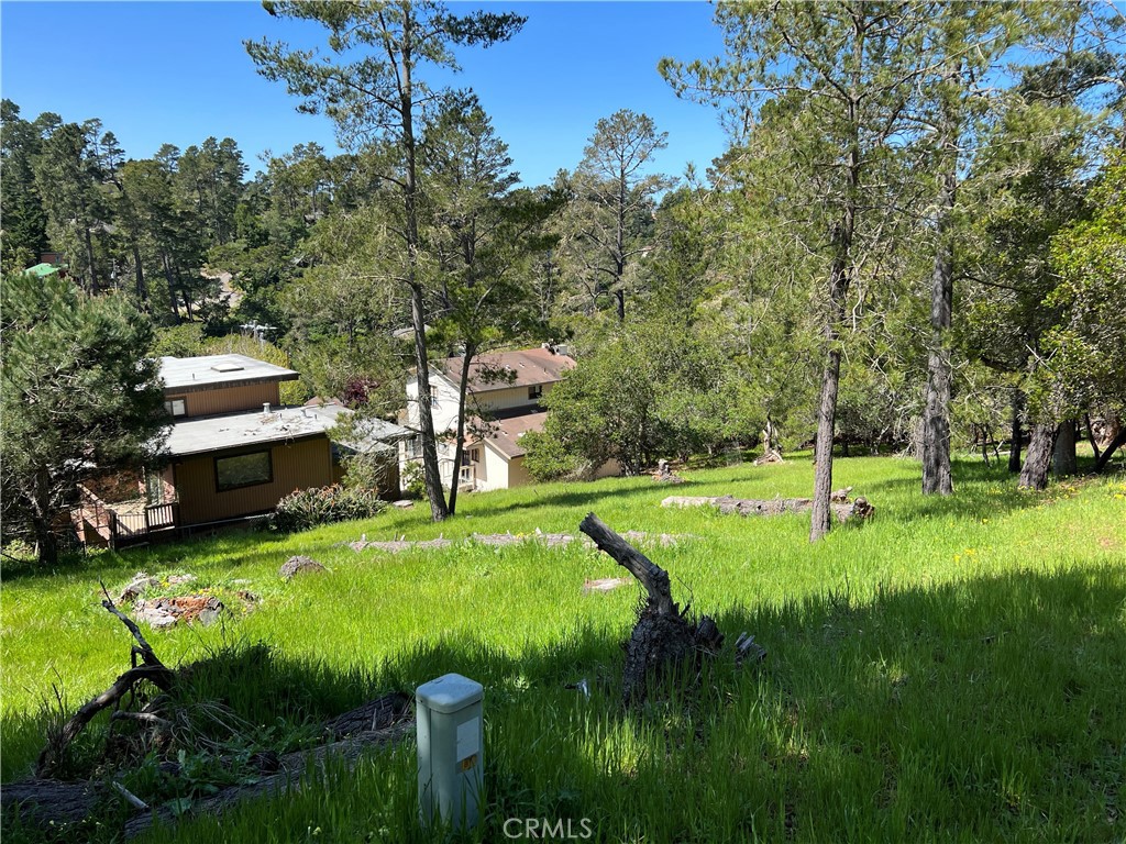 0 Pierce Ave, Cambria, CA 93428