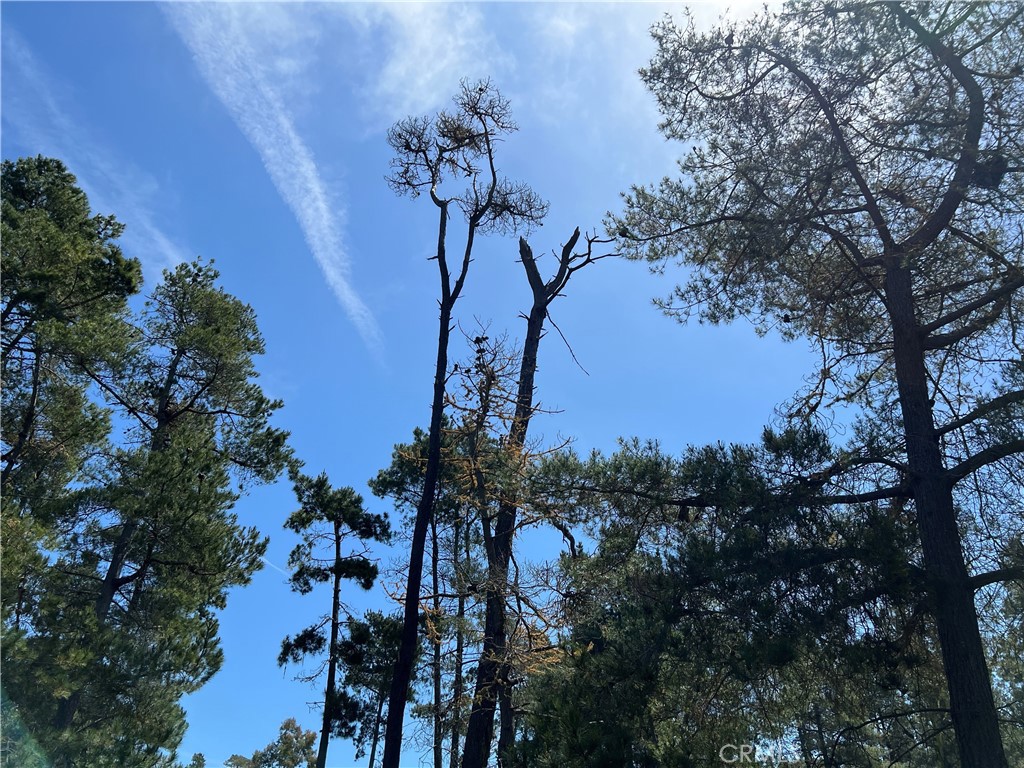 0 Kenneth Dr, Cambria, CA 93428