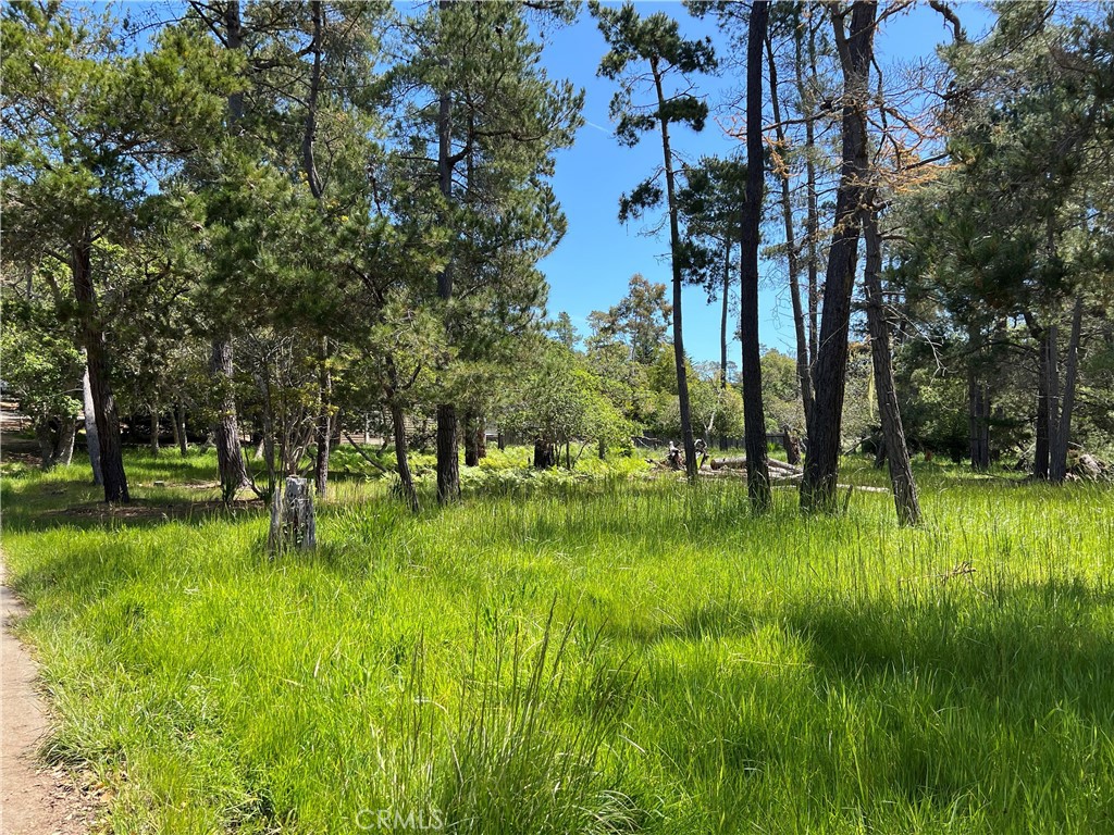 0 Kenneth Dr, Cambria, CA 93428