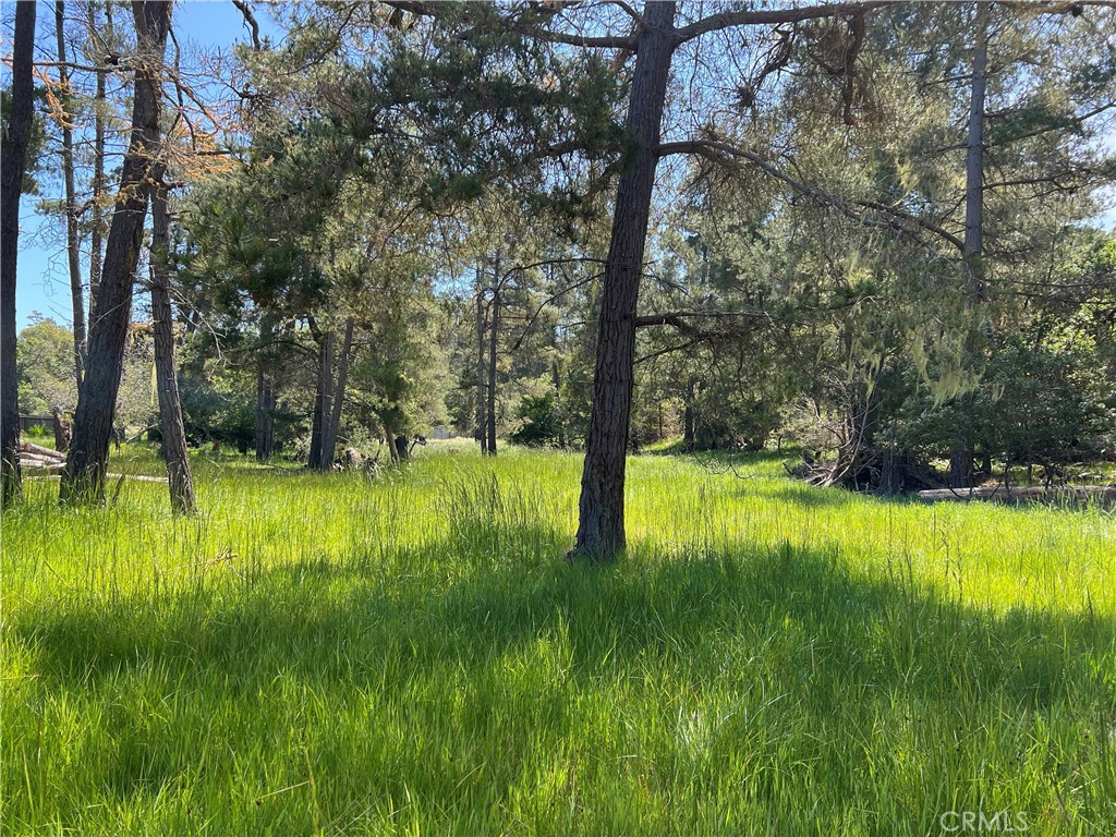 0 Kenneth Dr, Cambria, CA 93428