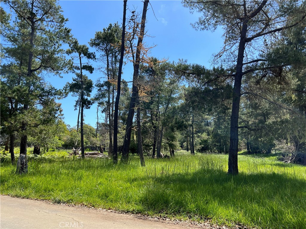 0 Kenneth Dr, Cambria, CA 93428