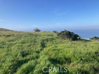 588 Chaney Ave, Cayucos, CA 93430