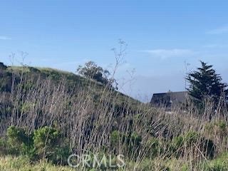 588 Chaney Ave, Cayucos, CA 93430