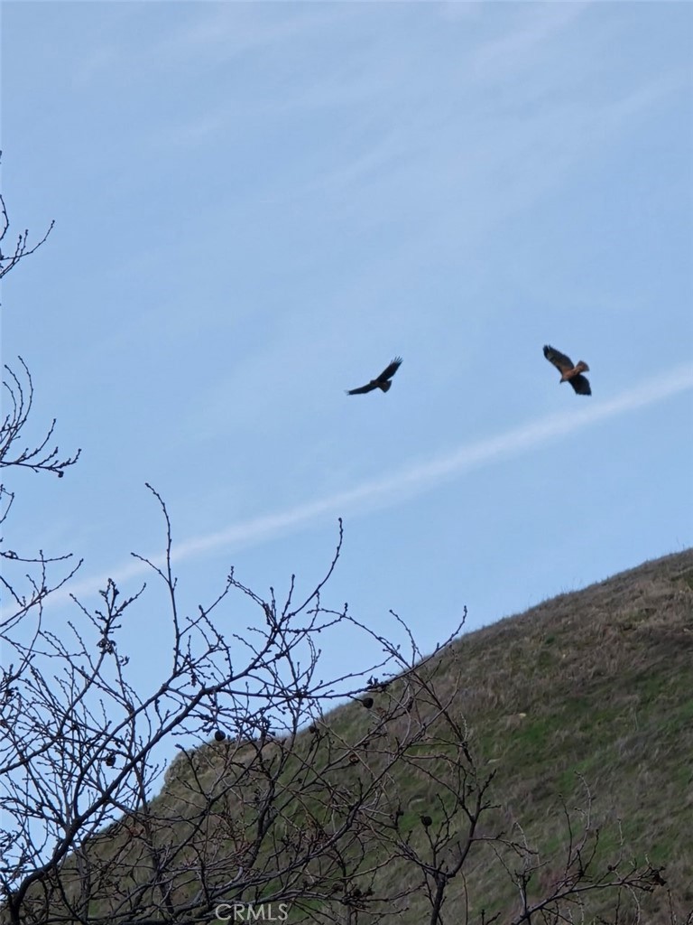 13700 Morro Rd, Atascadero, CA 93422