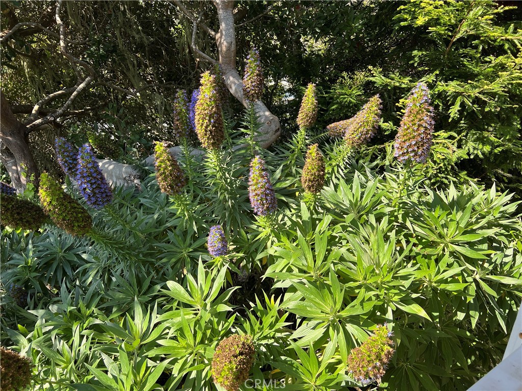 1226 Main St #14, Cambria, CA 93428