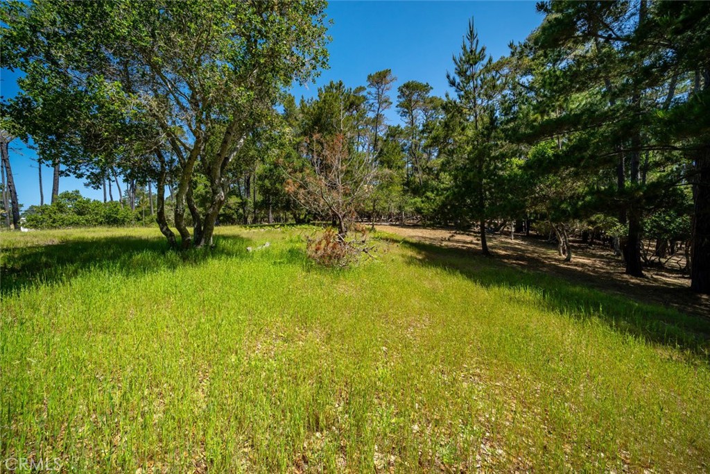 6475 Kathryn Dr, Cambria, CA 93428