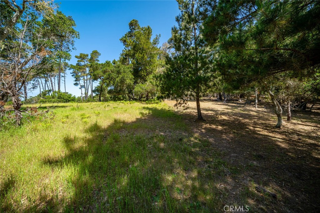 6475 Kathryn Dr, Cambria, CA 93428