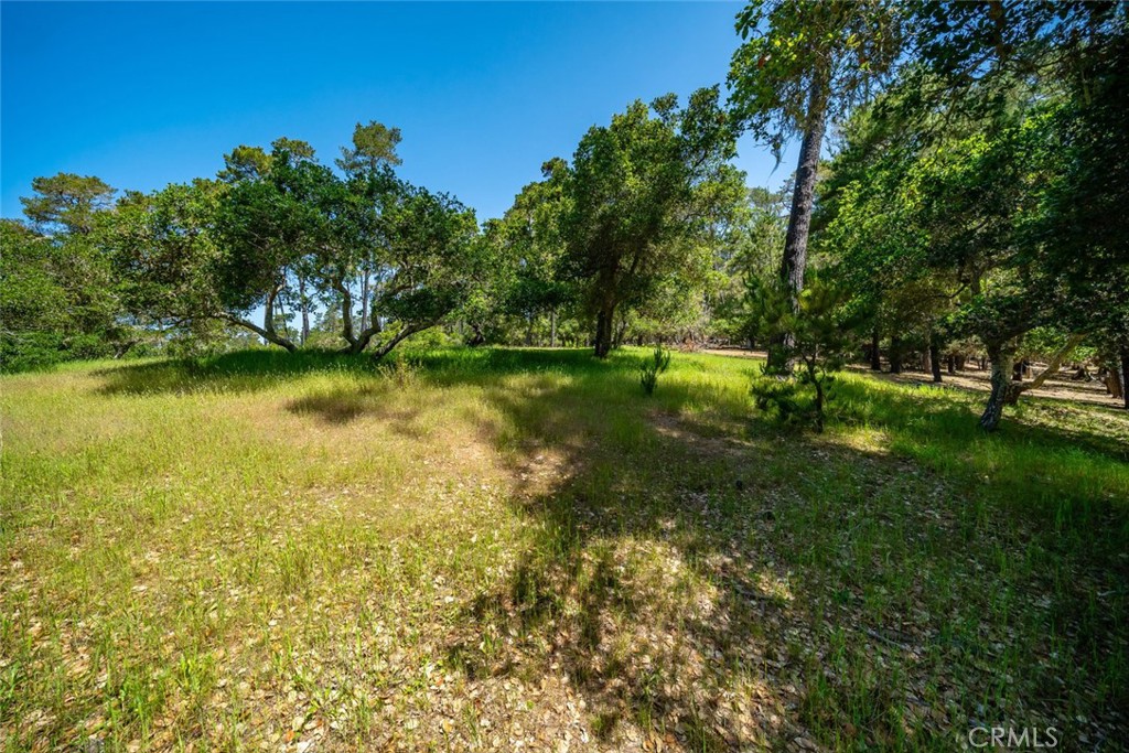 6475 Kathryn Dr, Cambria, CA 93428