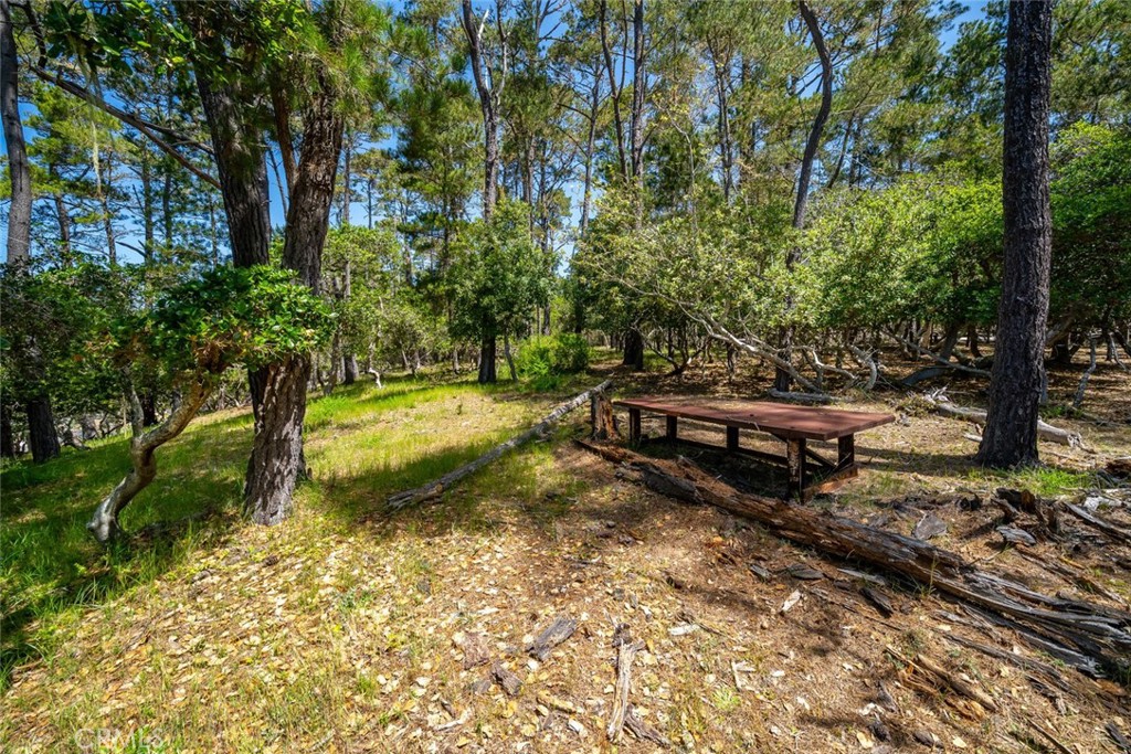 6475 Kathryn Dr, Cambria, CA 93428