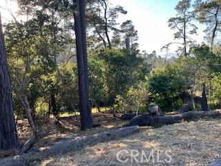 0 Bradford Rd, Cambria, CA 93428