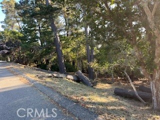 0 Bradford Rd, Cambria, CA 93428