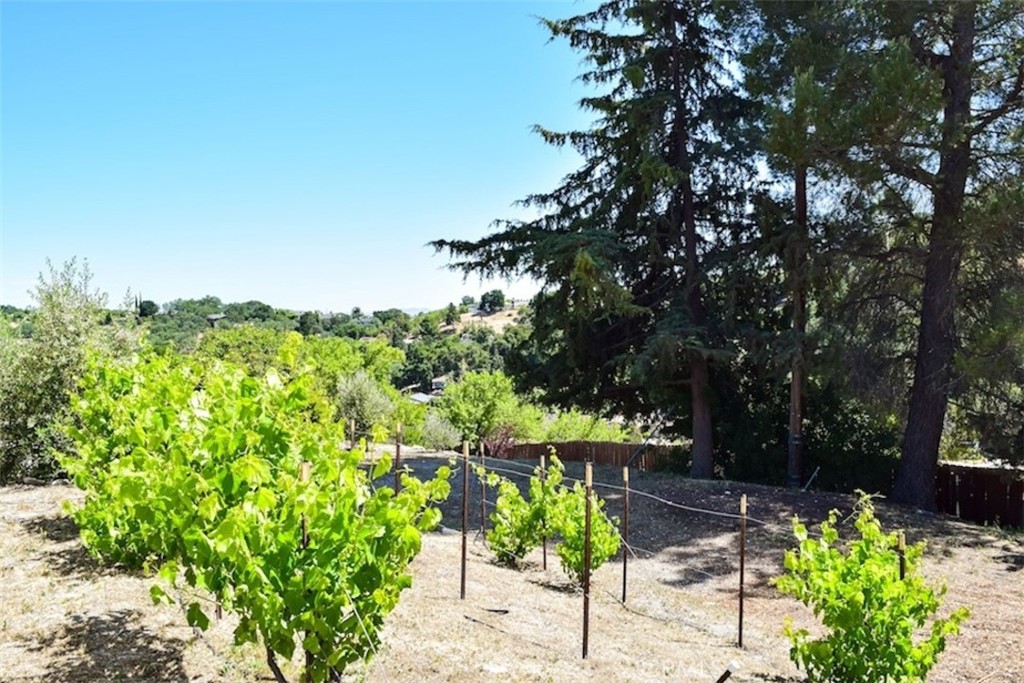 5 W 12th St, Paso Robles, CA 93446