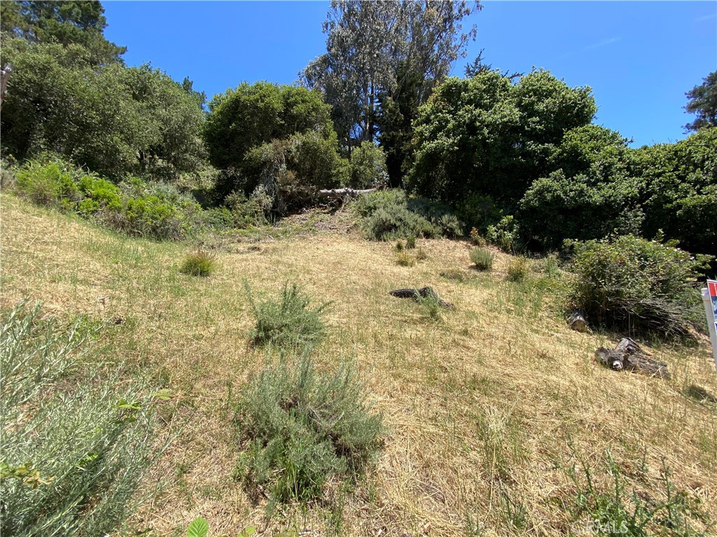 0 Kent St, Cambria, CA 93428