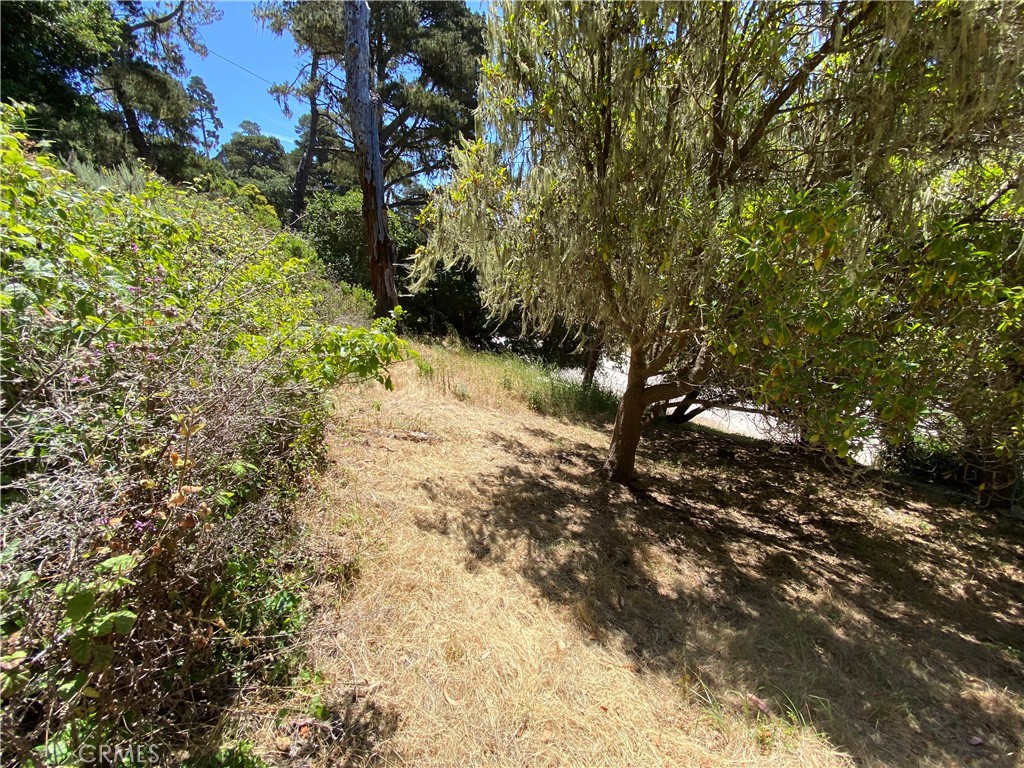 0 Kent St, Cambria, CA 93428
