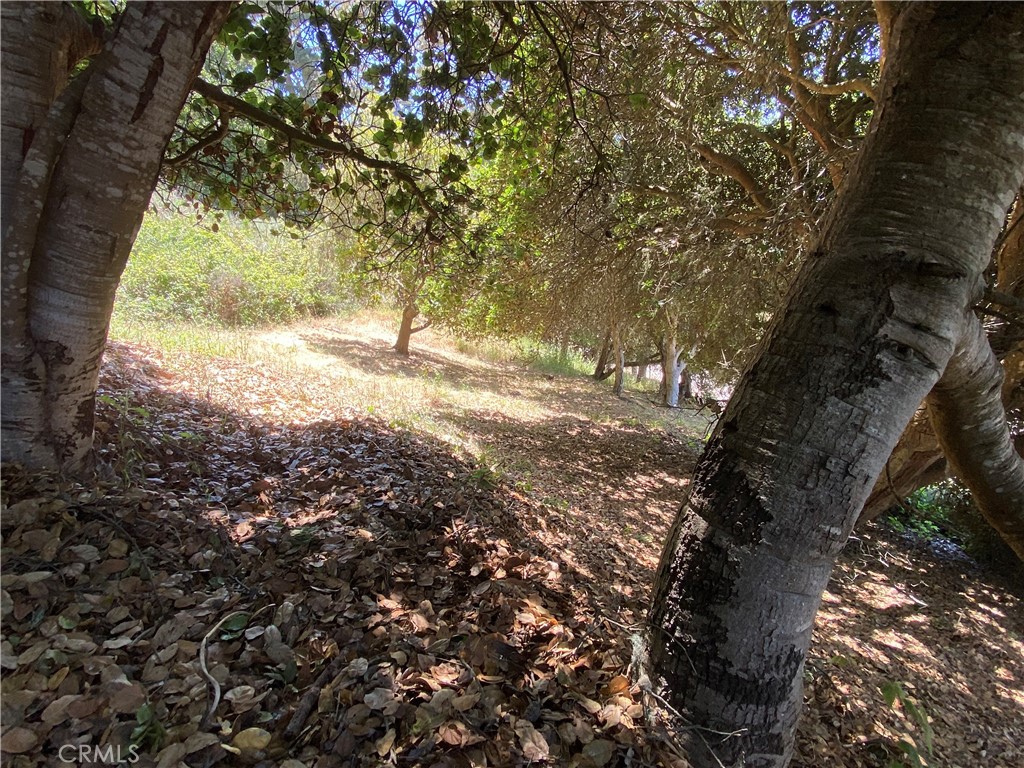 0 Kent St, Cambria, CA 93428